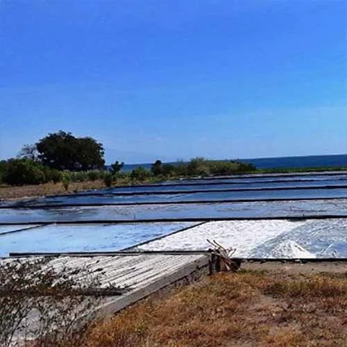 geomembrane untuk tambak garam di Cirebon