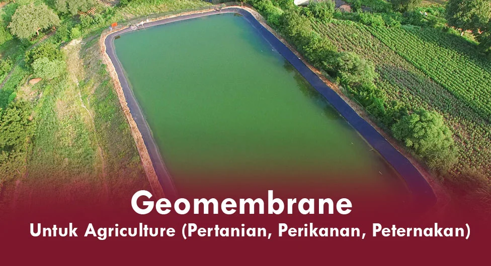 Aplikasi Geomembrane untuk Agriculture