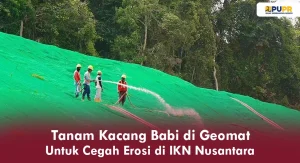 Tanam Kacang Babi di Geomat untuk Cegah Erosi di IKN Nusantara