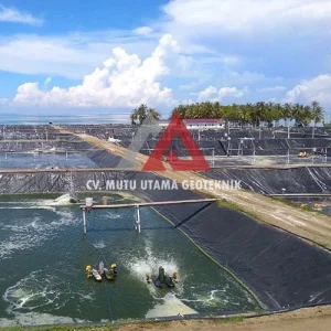 supplier geomembrane Lubuk Linggau