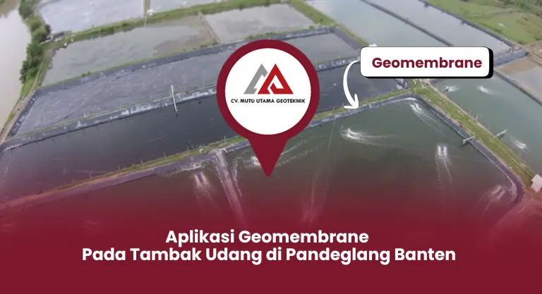 Aplikasi Geomembrane Pada Tambak Udang di Pandeglang Banten