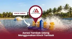 Aerasi Tambak Udang Menggunakan Kincir Tambak
