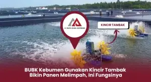 BUBK Kebumen Gunakan Kincir Tambak Bikin Panen Melimpah, Ini Fungsinya