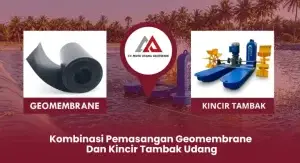 Kombinasi Pemasangan Geomembrane dan Kincir Tambak Udang
