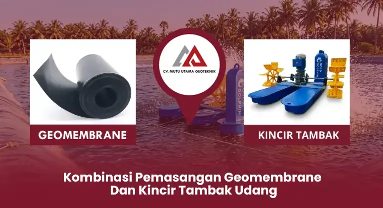 Kombinasi Pemasangan Geomembrane dan Kincir Tambak Udang