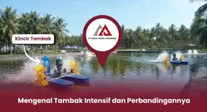 Mengenal Tambak Intensif dan Perbandingannya