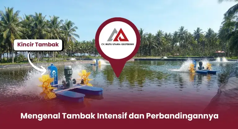 Mengenal Tambak Intensif dan Perbandingannya
