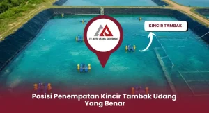 Posisi Penempatan Kincir Tambak Udang Yang Benar