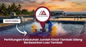 Perhitungan Kebutuhan Jumlah Kincir Tambak Udang