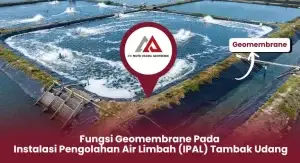 Fungsi Geomembrane Pada Instalasi Pengolahan Air Limbah (IPAL) Tambak Udang