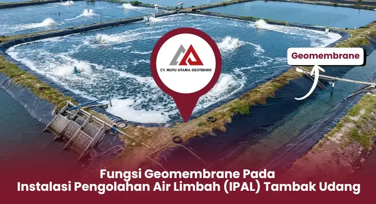 Fungsi Geomembrane Pada Instalasi Pengolahan Air Limbah (IPAL) Tambak Udang