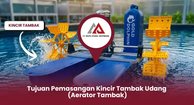 Tujuan Pemasangan Kincir Tambak Udang (Aerator Tambak)